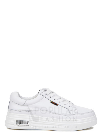 Кроссовки SHETON