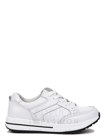 Кроссовки SHETON