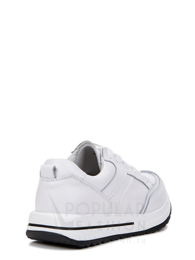 Кроссовки SHETON